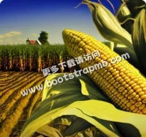 C7娛樂官方，值得信賴 - C7娱乐