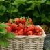 服务 - C7娱乐